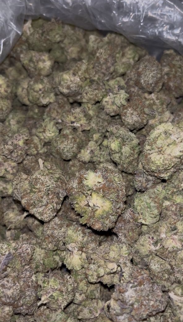 MOCHI MELON