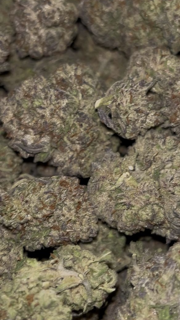 BLIZZARD CANDY